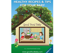 Baby Food Book