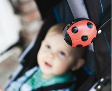 Keeping Baby Bug Free