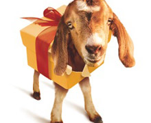 Life-Changing Gifts
