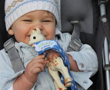 Adjustable Toy Strap