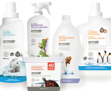 Eco-Friendly Cleaning Products