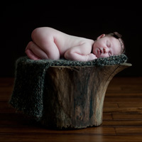 Baby Development By Trimester