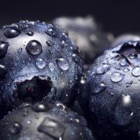 Super Foods for Moms